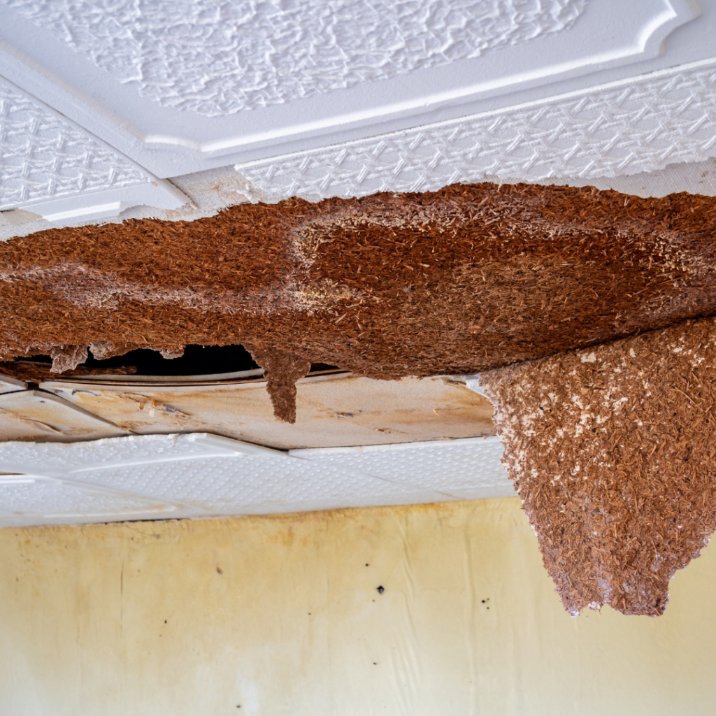 hole in ceiling repairs needed