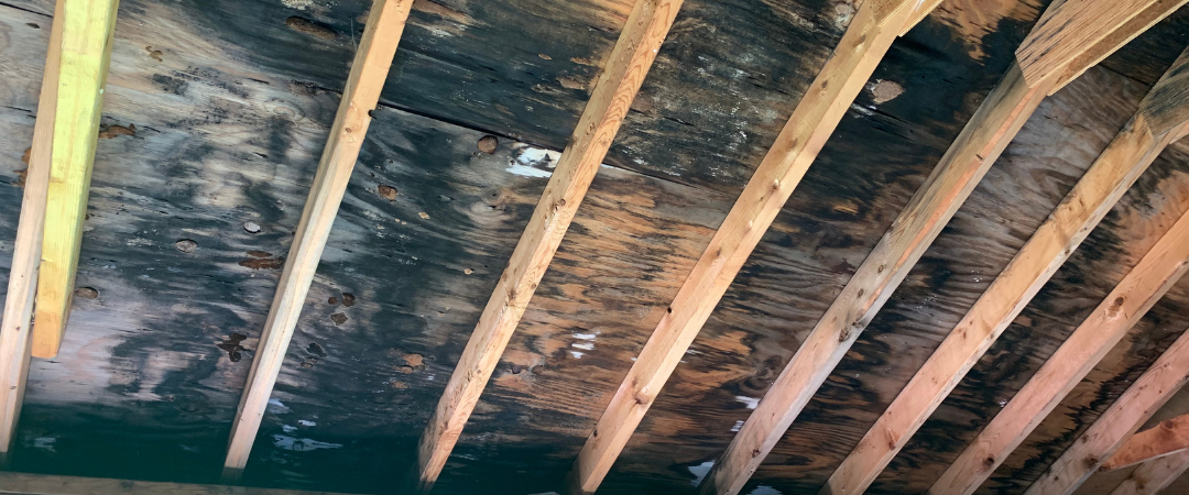 replacing joists to repair sagging ceiling